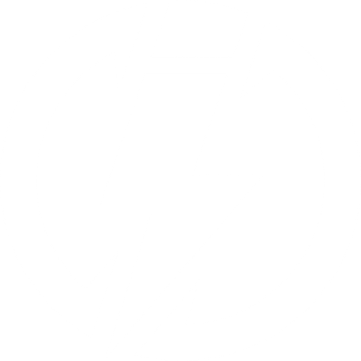 Elektrověk